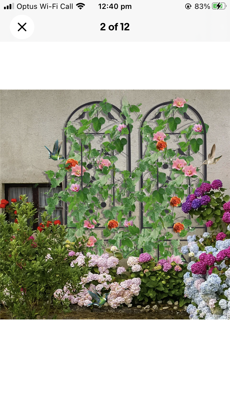 Brand new 2PCS Tall Iron Outdoor Garden Trellis Lattice for Climbing Vegetables Ivy Plants