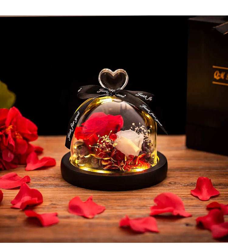 Brand new- free post Rose in Glass Dome Eternal Forever Flower LED Night Light Valentine' Day Gift AU