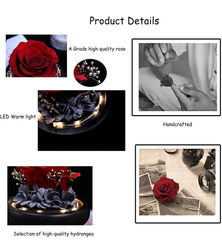 Brand new- free post Rose in Glass Dome Eternal Forever Flower LED Night Light Valentine' Day Gift AU